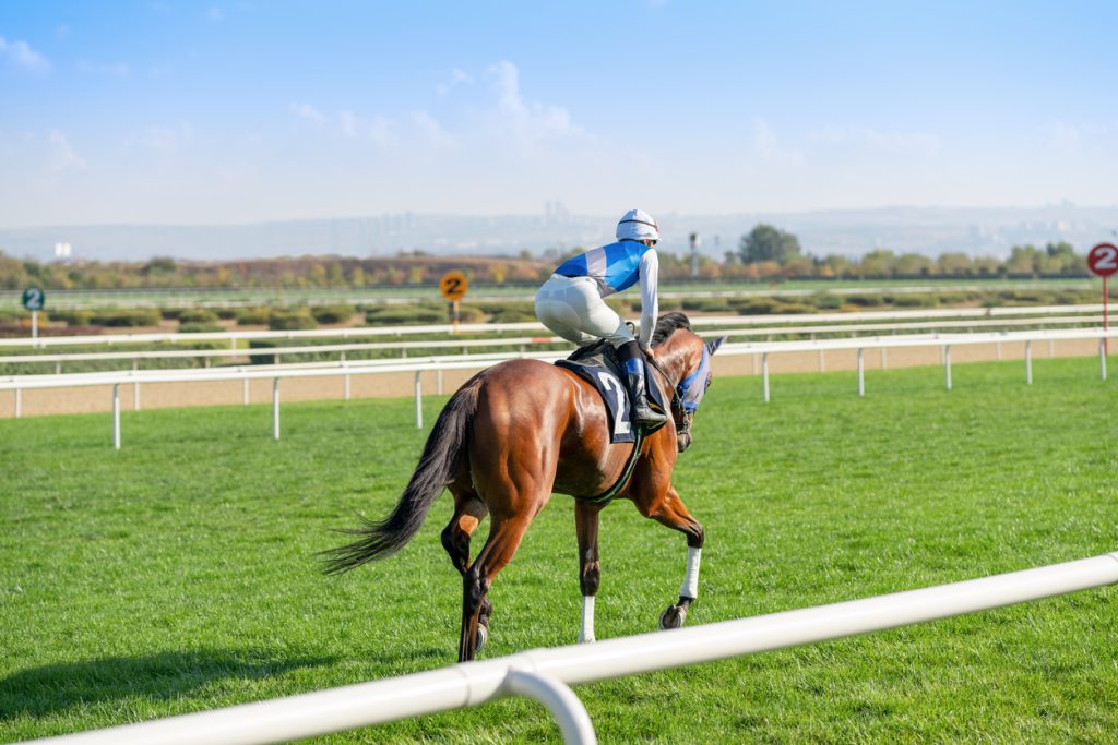 hippodrome in deauville - was tun in deauville