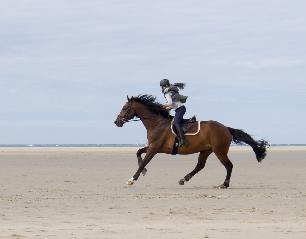 cheval au galop sur la plage - activites deauville